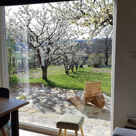 Apartma Vita Dobrovo Exteriér fotografie